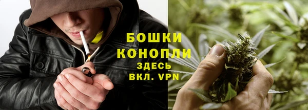 прущие грибы Красноперекопск