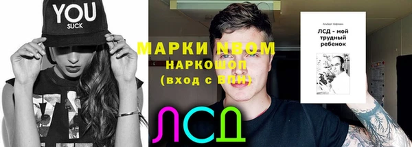 мдпв Заводоуковск
