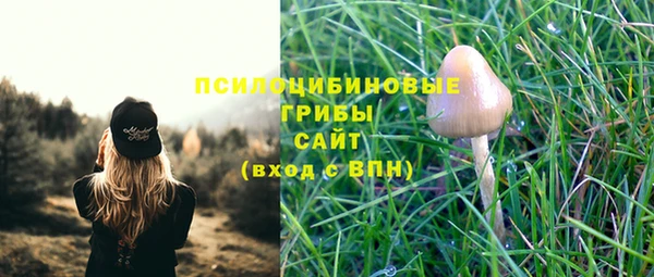 ECSTASY Баксан